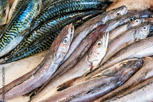 Mackerel and other small fish in the display of a fish shop