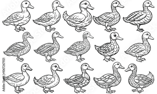 Duck Coloring Page for Kids, Adorable Line Drawing of a Cute Duckling, Perfect for Children's Activity Books and Toddler Fun. Isolated on White Background