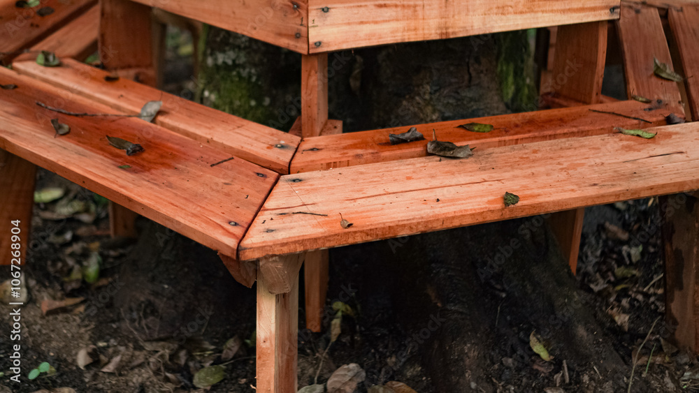 Fototapeta premium A wooden bench encircles a tree trunk in a lush green park. The bench is made of weathered wood planks and offers a cozy spot to sit and enjoy the outdoors.
