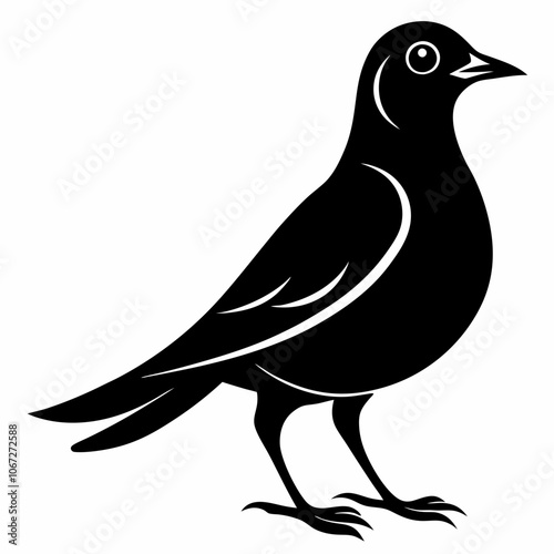 Vector Skylark silhouette black illustration on a white background