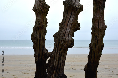 Plage de Saint-Malo et brise-lames photo