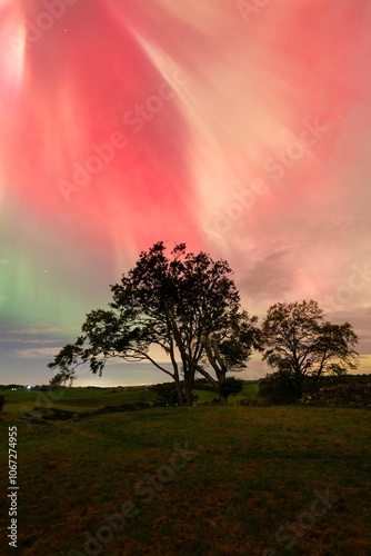 Balvaird Castle with northern lights - Scotland photo