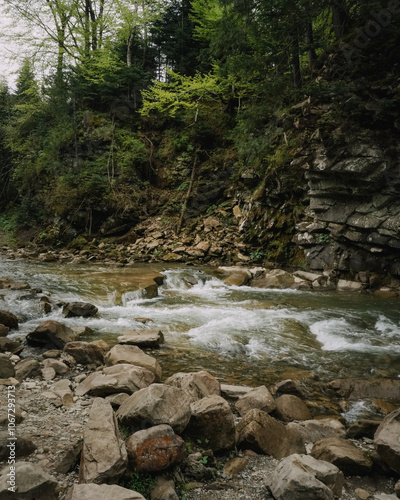 wood in the mountains ukraine