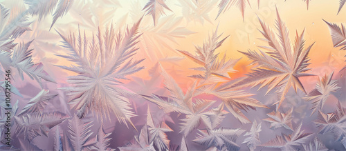 Frosty patterns on frozen glass 
