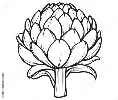 Hand drawn sketch artichoke illustration, Artichoke cartoon style vector, Artichoke vegetables icon