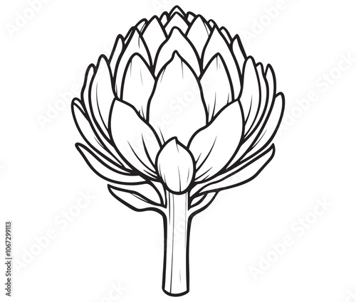 Hand drawn sketch artichoke illustration, Artichoke cartoon style vector, Artichoke vegetables icon