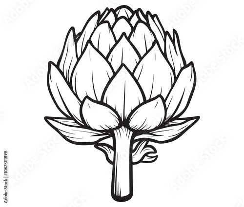 Hand drawn sketch artichoke illustration, Artichoke cartoon style vector, Artichoke vegetables icon