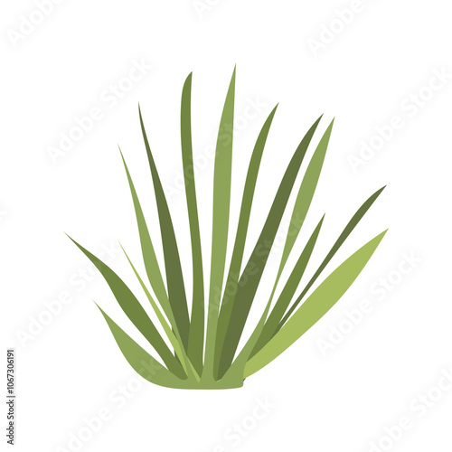 Desert green grass in flat design. Wilderness herbal tuft for dry landscape. Vector illustration isolated.