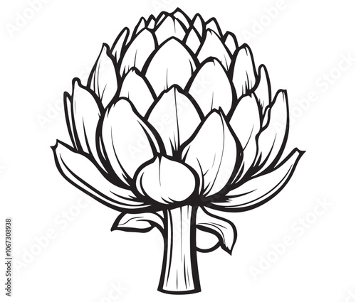 Hand drawn sketch artichoke illustration, Artichoke cartoon style vector, Artichoke vegetables icon