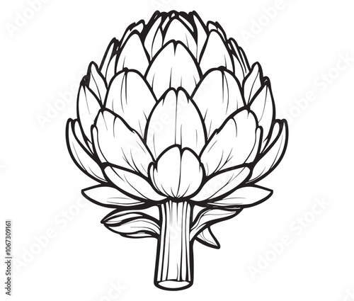 Hand drawn sketch artichoke illustration, Artichoke cartoon style vector, Artichoke vegetables icon