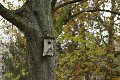 nistkasten am baumstamm