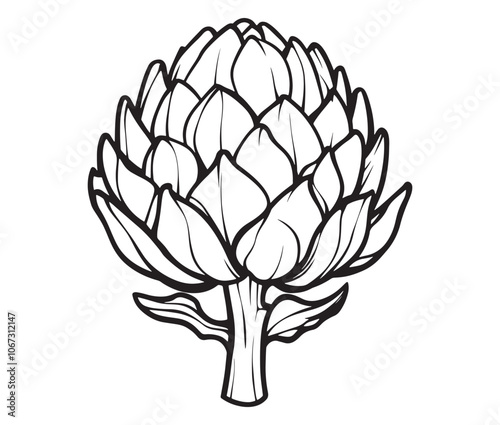 Hand drawn sketch artichoke illustration, Artichoke cartoon style vector, Artichoke vegetables icon