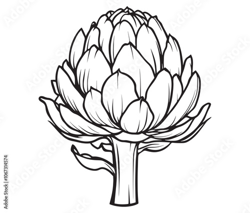 Hand drawn sketch artichoke illustration, Artichoke cartoon style vector, Artichoke vegetables icon