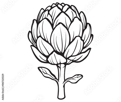 Hand drawn sketch artichoke illustration, Artichoke cartoon style vector, Artichoke vegetables icon