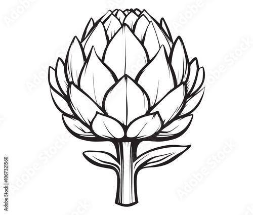 Hand drawn sketch artichoke illustration, Artichoke cartoon style vector, Artichoke vegetables icon