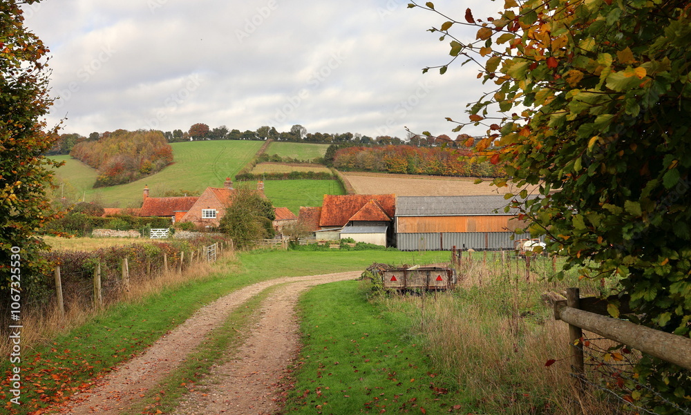 An English Rural Landscape in the Chiltern Hills