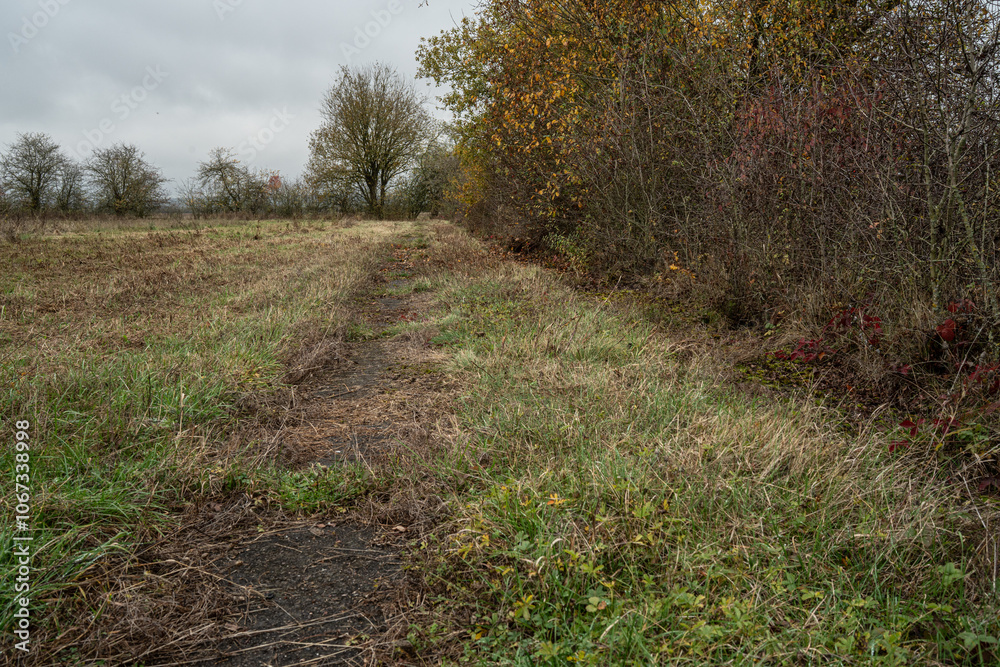 Obraz premium DDR Grenze 