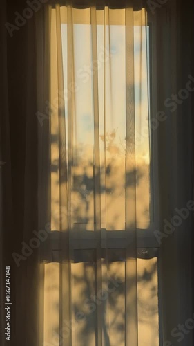 Morning sunshine seen through transparent curtain with tree branches shadows. Vertical video