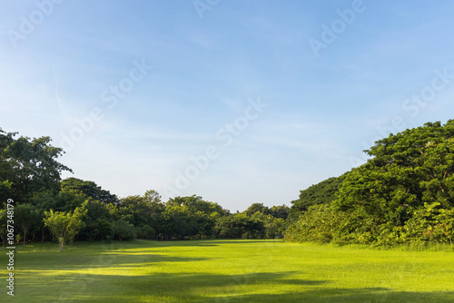 Fototapeta Naklejka Na Ścianę i Meble -  Scenic view of the park with green grass field and a blue sky in the evening. Beautiful green park
