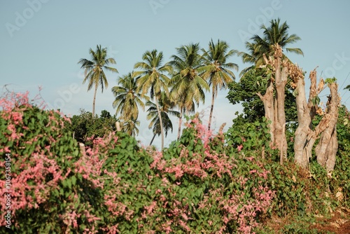 Tropical landscape with palm trees and pink flowers.