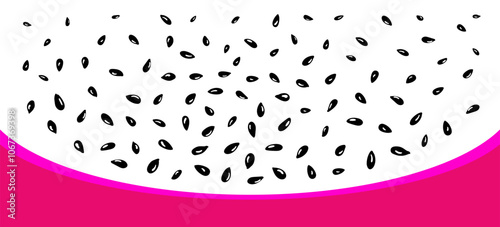 Dragon fruit. Healthy sweet, vegans. Vector cactus