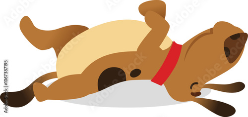 Brown puppy wearing a red collar rolling on its back with legs and paws up in the air, enjoying playtime on a white background