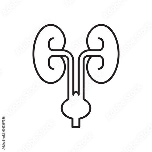 Urology icon simple black line style.