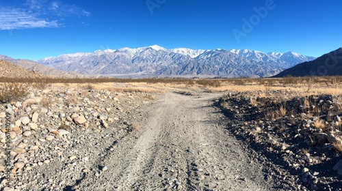 A gravel path leads toward snow-capped mountains under a clear blue sky.