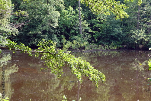 Jacobiweiher bei Frankfurt photo