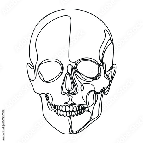 Human scull. One line continuous Halloween skull isolated on white background. Line art outline vector illustration