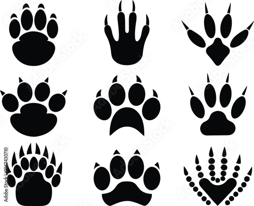 Set of 9 Different footprints of animals, animals footprints icon vector illustration