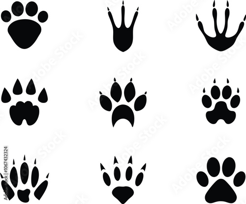 Set of 9 Different footprints of animals, animals footprints icon vector illustration