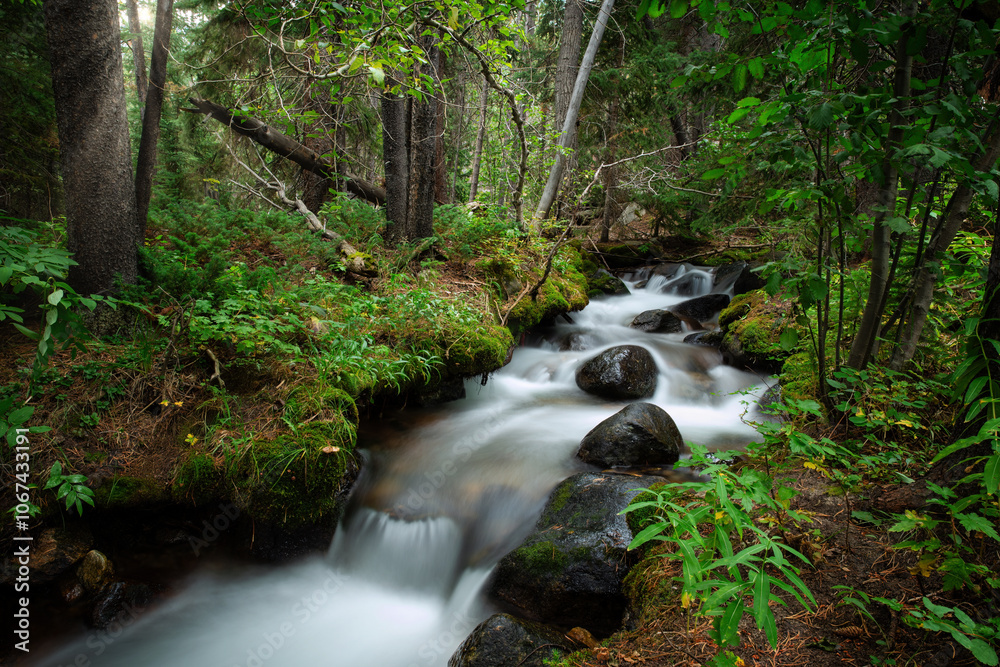 Fototapeta premium Long exposure photo of rocks and a small river stream or creek flowing through a deep forest surrounded by greenery with sunlight peeking through the foliage found while hiking in nature outdoors