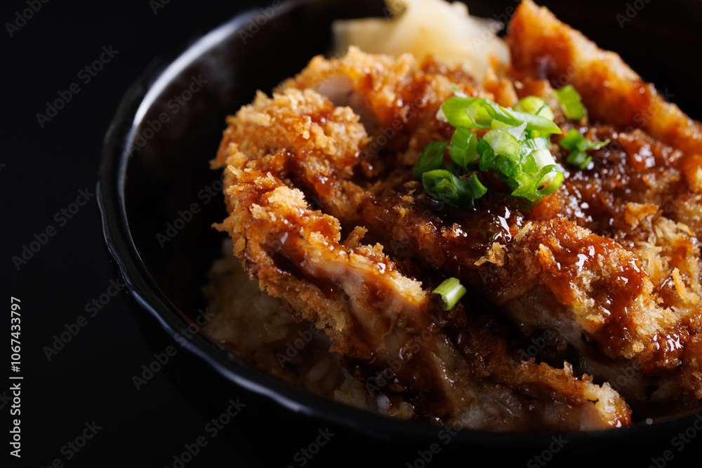 Chicken tonkatsu with rice japanese food isolate in black background Chicken tonkatsu with rice japanese food isolate in black background