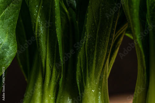 Close up of baby bok choy 