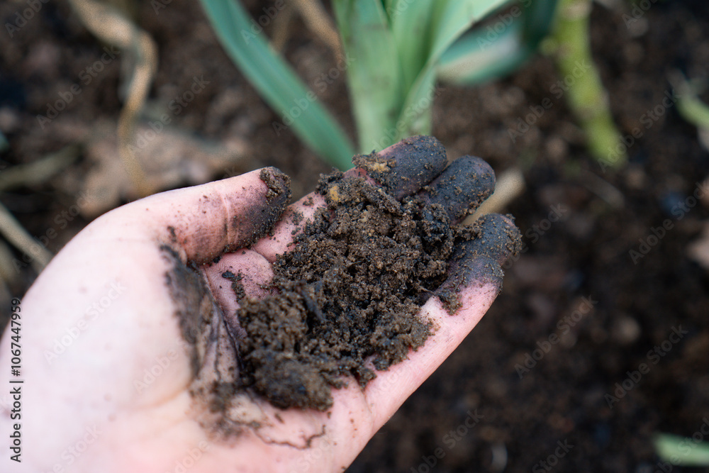 Nahaufnahme von Pflanzenkohle (Biochar) mit Terra Preta zur Bodenverbesserung im Garten und in der Landwirtschaft Nahaufnahme von Pflanzenkohle (Biochar) mit Terra Preta zur Bodenverbesserung im Garten und in der Landwirtschaft