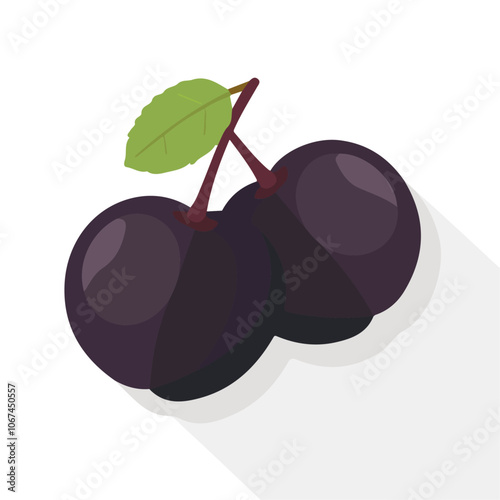 2D flat vector illustration plum icon isolated on a white background.

