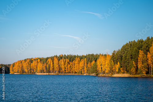 Lake and fall colors