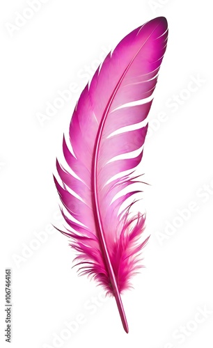 pink feather