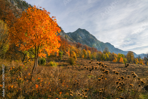 Scenic autumn landscape in Mehedinti Mountains, Carpathians, Romania, Europe. Fall alpine landscape in the mountains	 photo