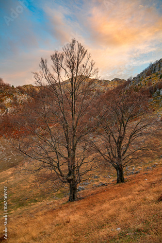 Scenic autumn landscape in Mehedinti Mountains, Carpathians, Romania, Europe. Fall alpine landscape in the mountains