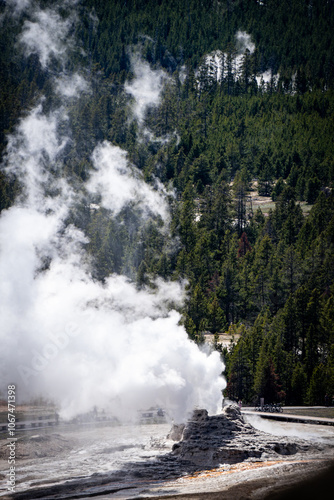 Plume, Beehive, Aurum, and Anemone geyser steaming along the boardwalks on Geyser Hill viewed from Observation Point in the Upper Basin of Yellowstone National Park