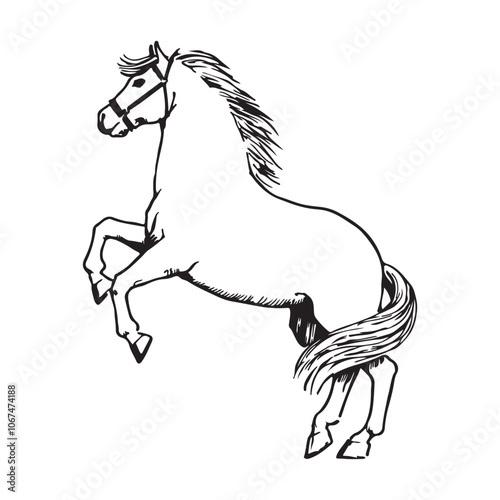 Horse Animal Drawing vector