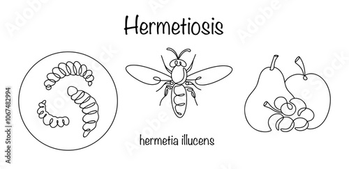 Hermetiosis