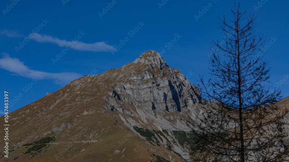 Berg Berg
