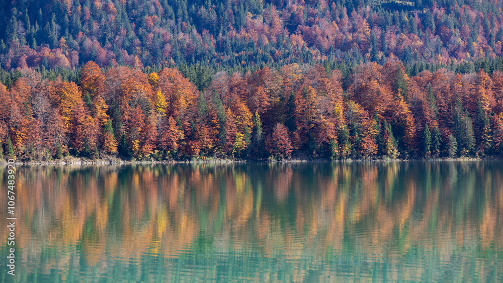 Obraz premium Bäüme im Herbst spiegeln im See