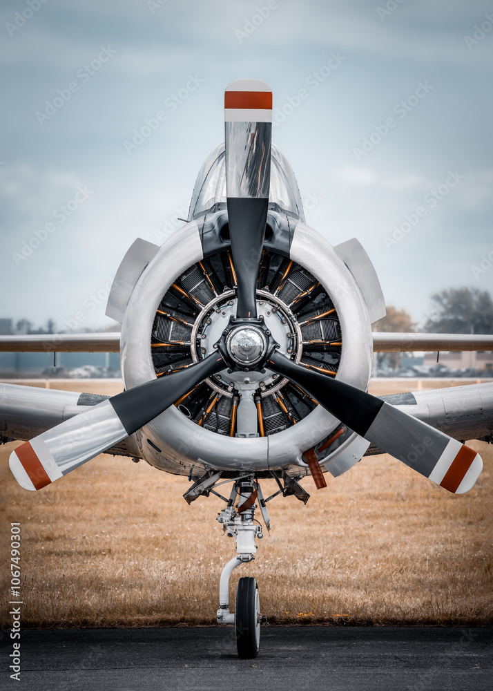 propeller of an historical fighter plane