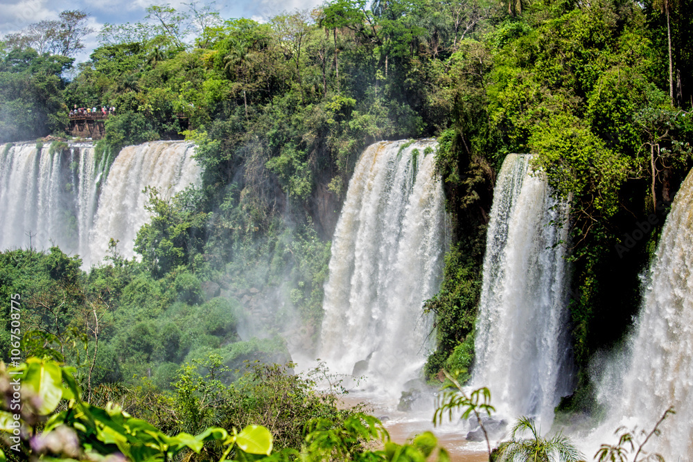 Naklejka premium Waterfalls and trees at Iguazu Falls, Misiones, Argentina