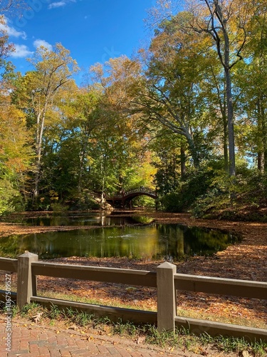 autumn in the park