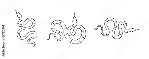 Hand drawn doodle snake top view icon set. Outline drawing isolated snake on white background.